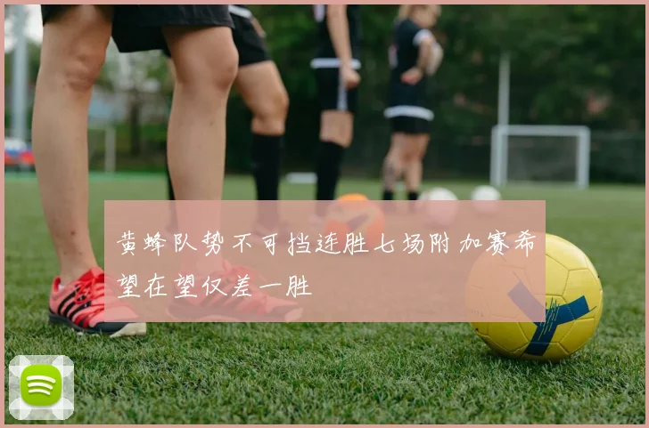黄蜂队势不可挡连胜七场附加赛希望在望仅差一胜