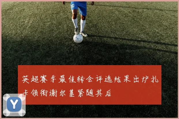 英超赛季最佳转会评选结果出炉扎卡领衔谢尔基紧随其后